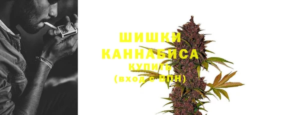 трава Абаза