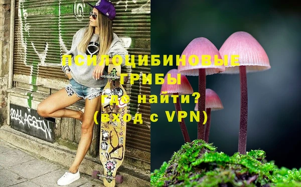 стафф Абинск