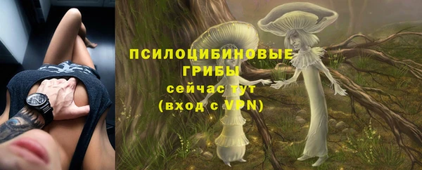 2c-b Абдулино